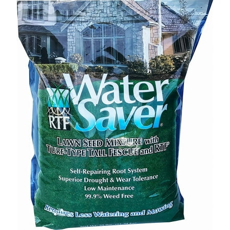 Barenbrug 11625 Water Saver Grass Seed, 25-Pound (Discontinued by Manufacturer)