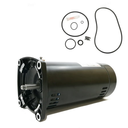 Puri Tech Sta-Rite Max-E-Pro .75HP P6R6D-205L Replacement Motor Kit AO Smith SQ1072 w/GO-KIT-79